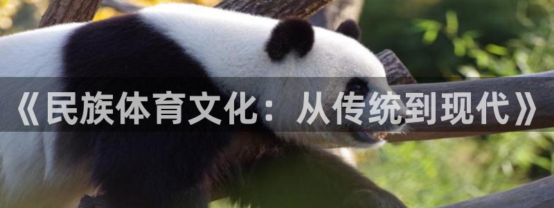 ug环球官网注册：《民族体育文化：从传统到现代》