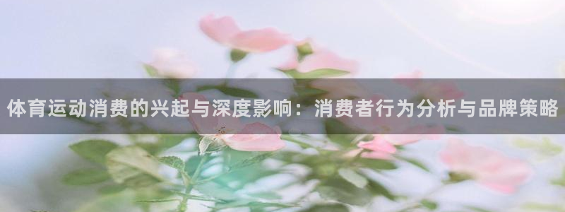 ug环球官网注册：体育运动消费的兴起与深度影响：消费者行为分析与品牌策略