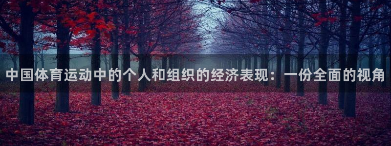 ug环球官网：中国体育运动中的个人和组织的经济表现：一份全面的视角
